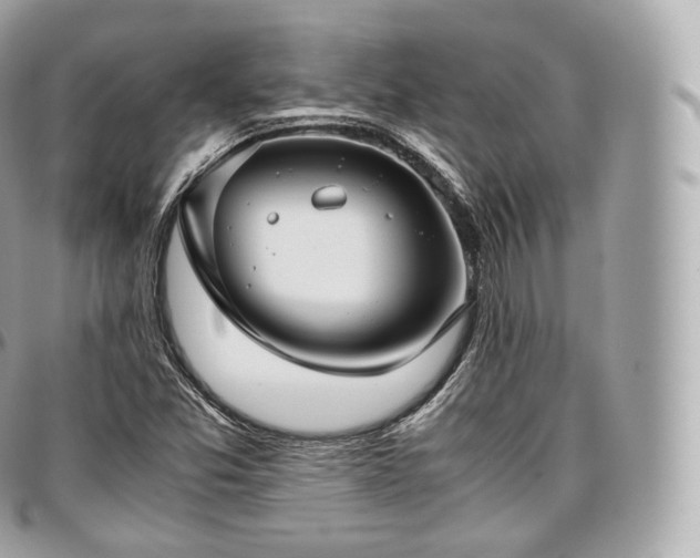 X0000097301357200802221325