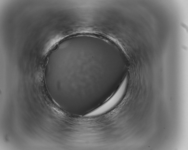X0000097301359200802221325