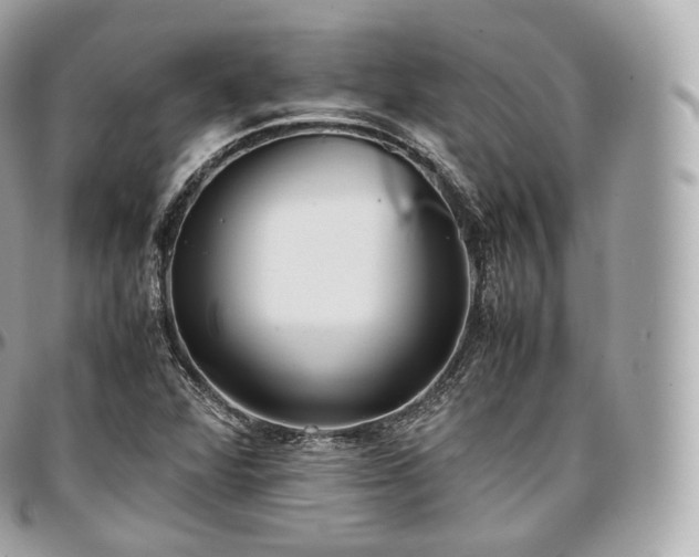 X0000097301360200802221325