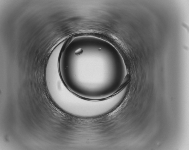 X0000097301361200802221325
