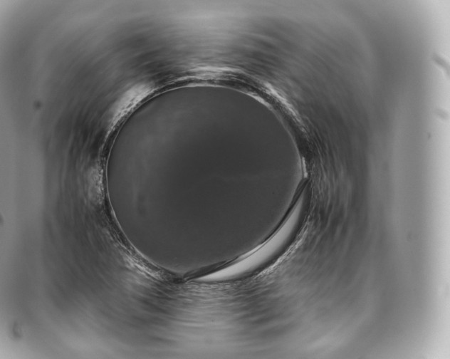 X0000097301362200802221325