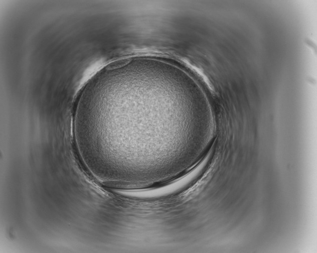 X0000097301365200802221325