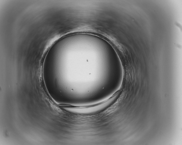 X0000097301366200802221325