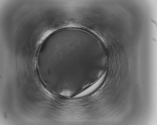 X0000097301367200802221325