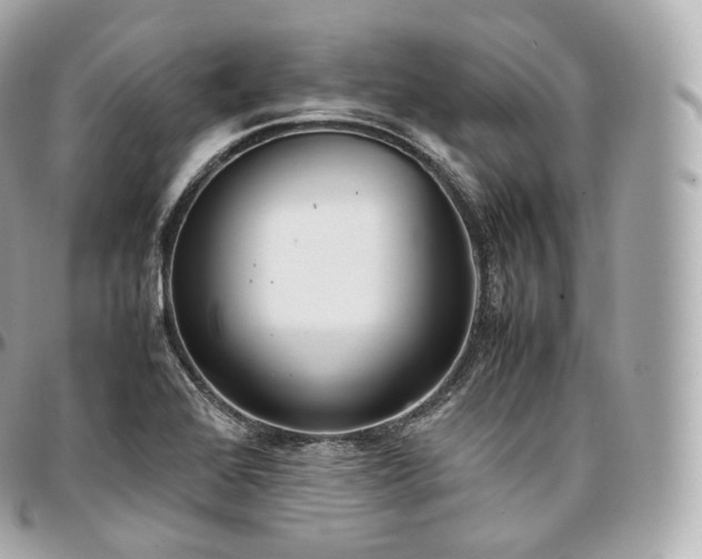 X0000097301368200802221325