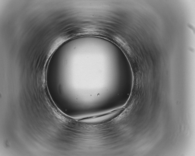 X0000097301370200802221325