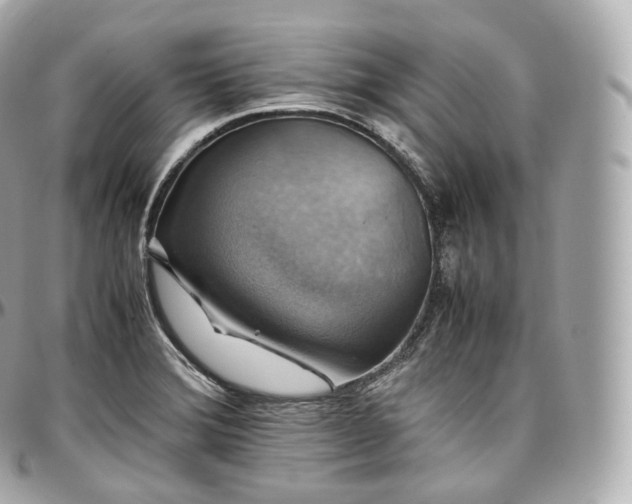 X0000097301372200802221325