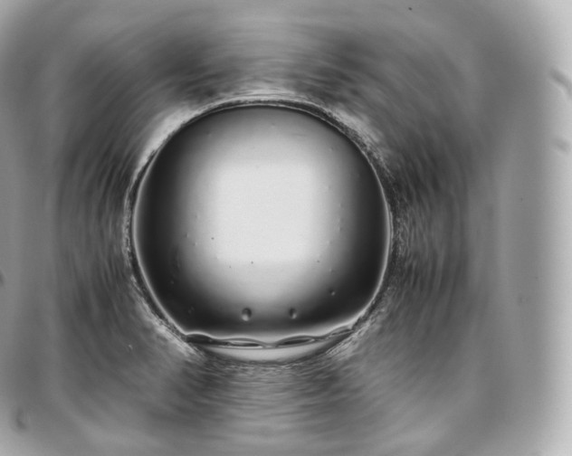 X0000097301374200802221325