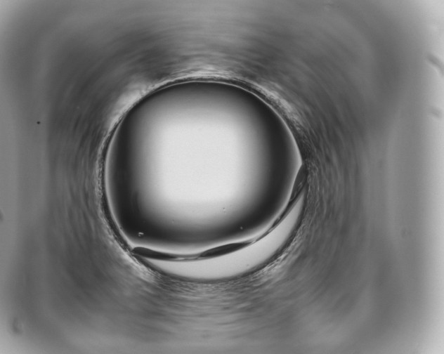 X0000097301375200802221325