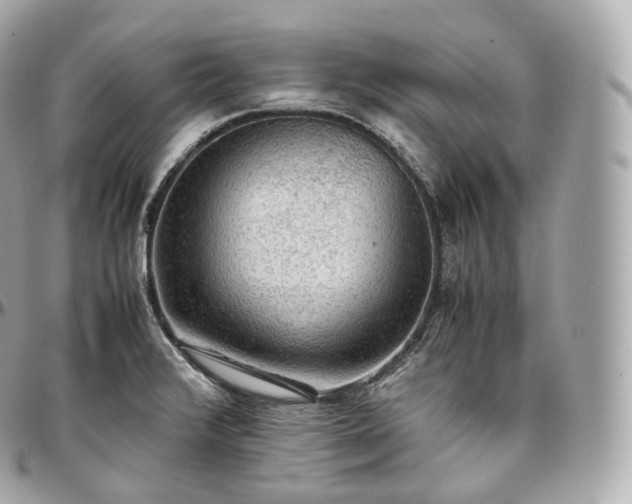X0000097301376200802221325