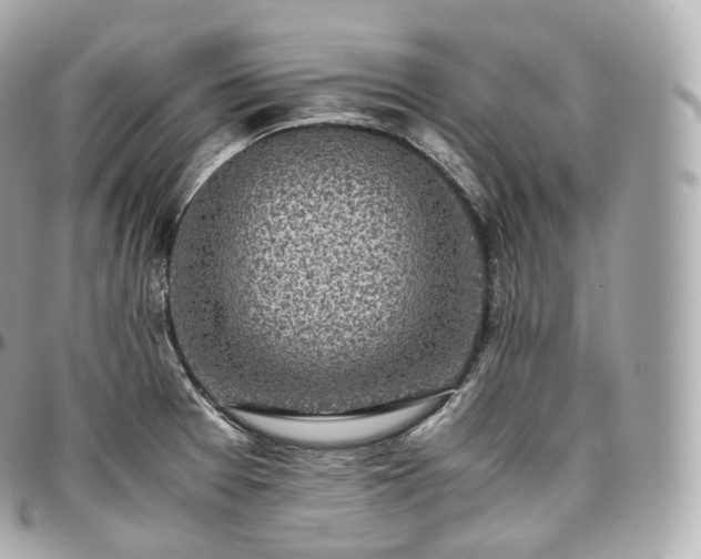 X0000097301377200802221325