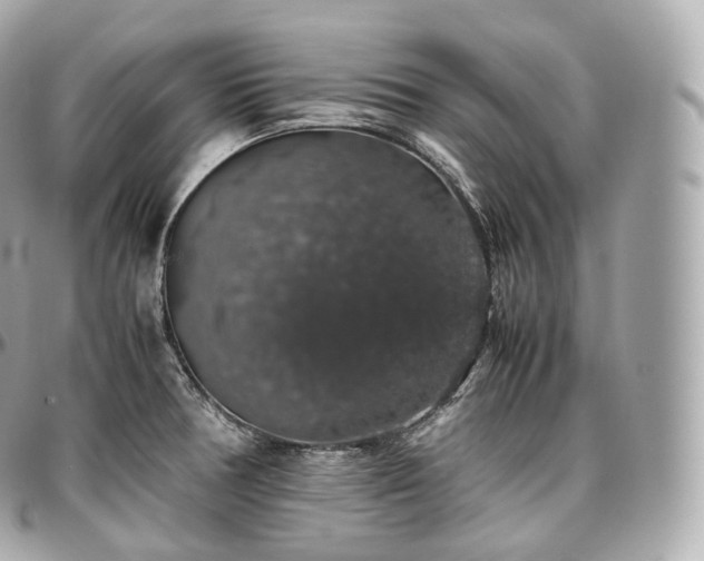 X0000097301378200802221325
