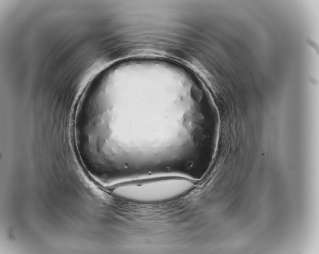 X0000097301379200802221325