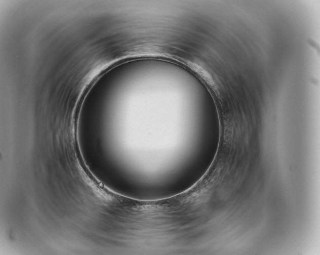 X0000097301380200802221325