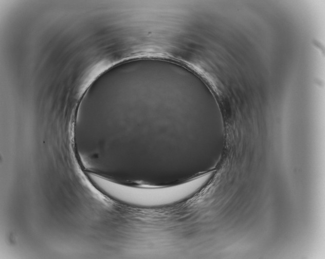 X0000097301383200802221325