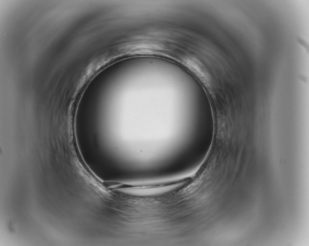 X0000097301384200802221325
