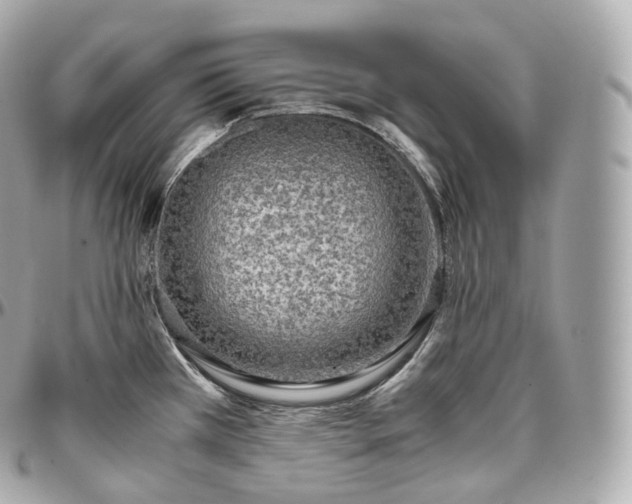 X0000097301385200802221325