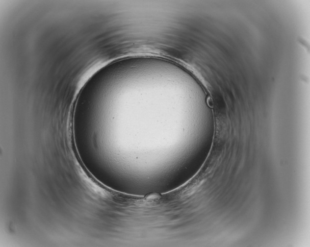 X0000097301387200802221325