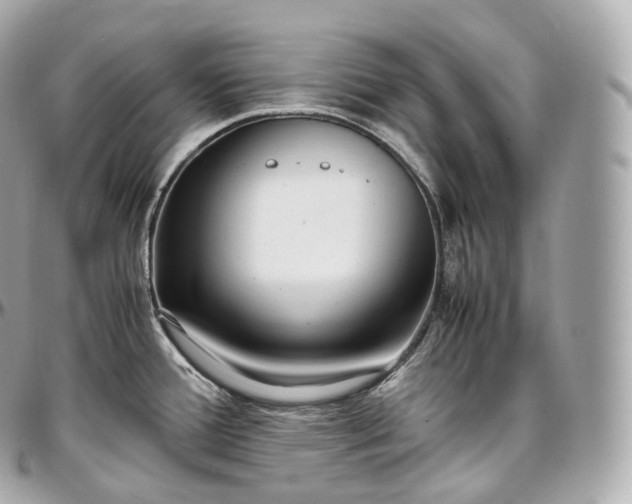 X0000097301388200802221325