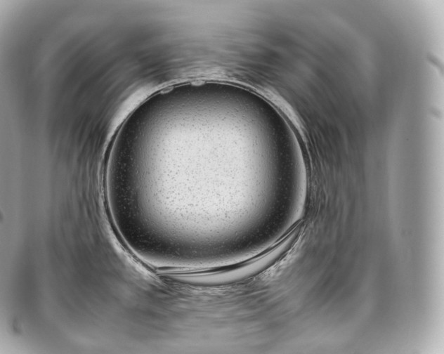 X0000097301389200802221325