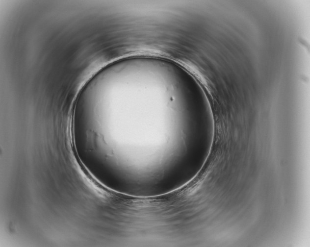 X0000097301391200802221325