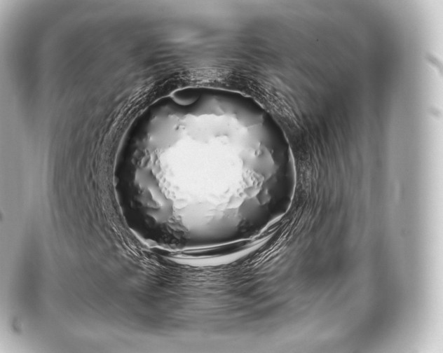 X0000097301393200802221324