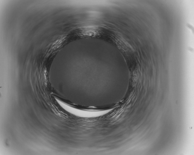 X0000097301394200802221324