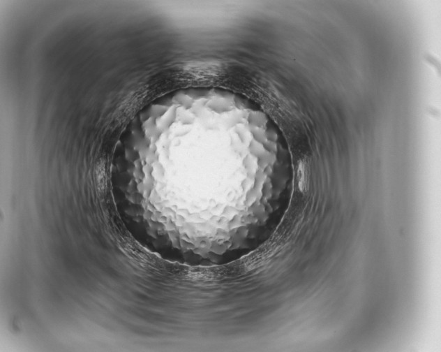 X0000097301395200802221324