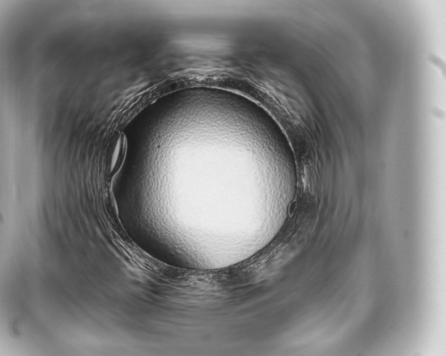 X0000097301396200802221324