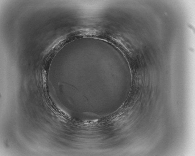 X0000097301399200802221324