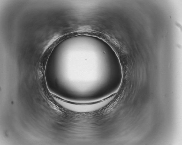 X0000097301400200802221324
