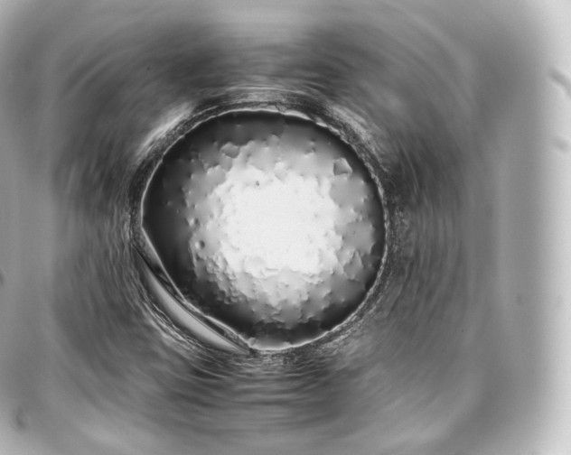 X0000097301403200802221324