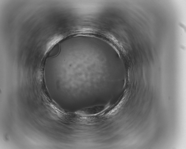 X0000097301405200802221324