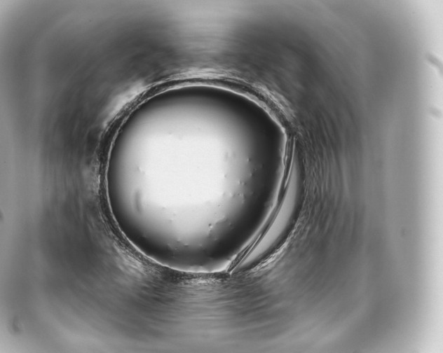X0000097301406200802221324