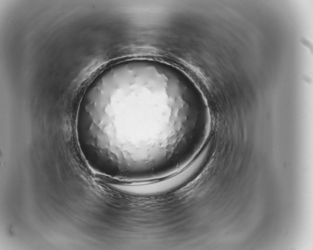X0000097301407200802221324