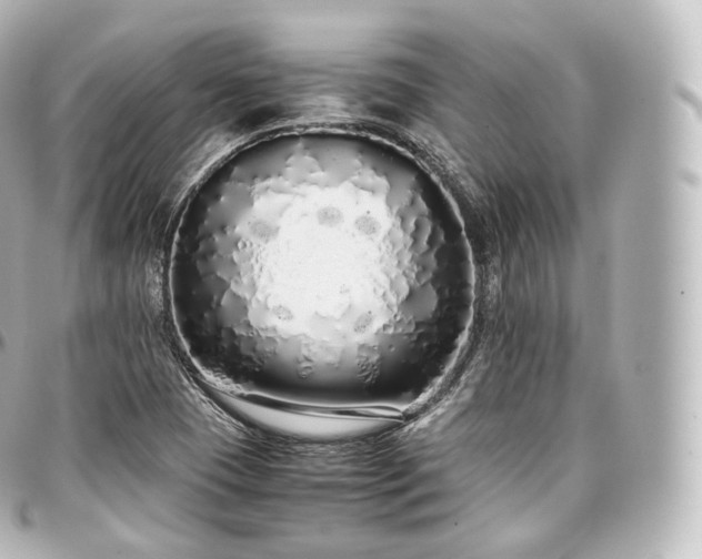 X0000097301409200802221324