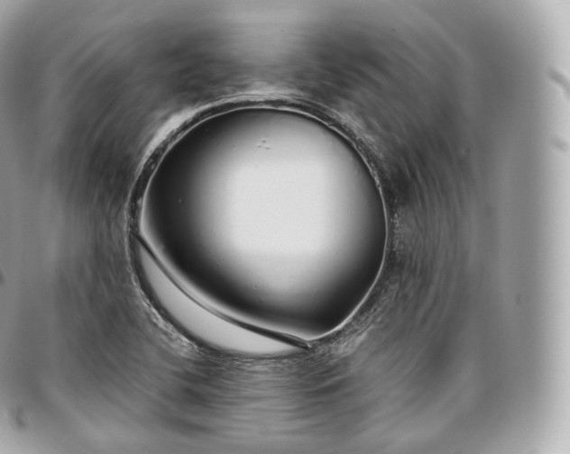 X0000097301412200802221324