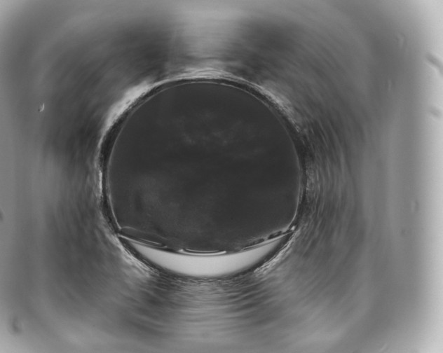 X0000097301414200802221324