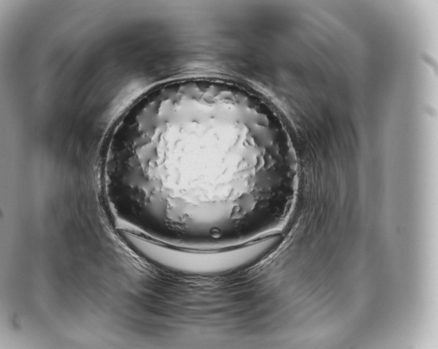 X0000097301415200802221324