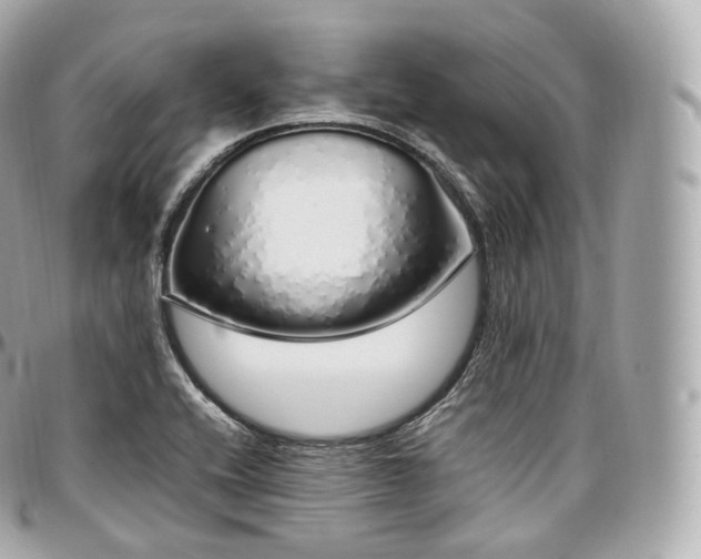 X0000097301416200802221324