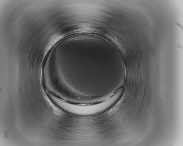 X0000097301418200802221324