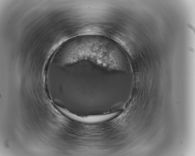 X0000097301419200802221324
