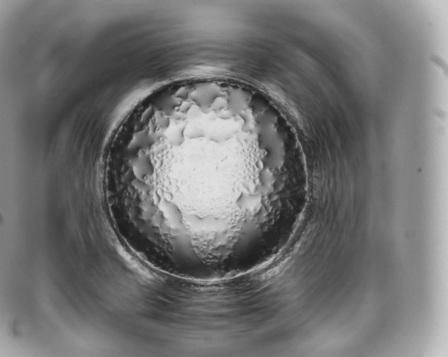 X0000097301421200802221324