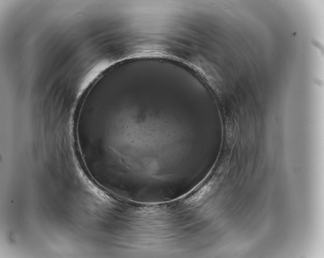 X0000097301422200802221324