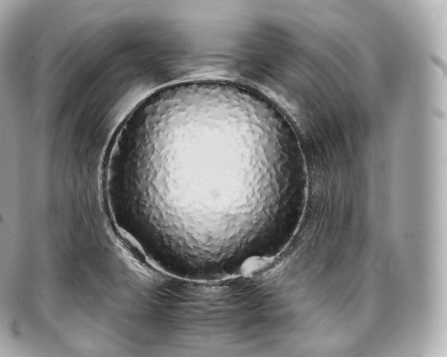 X0000097301423200802221324