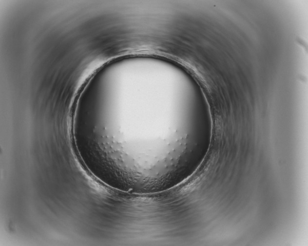 X0000097301424200802221324