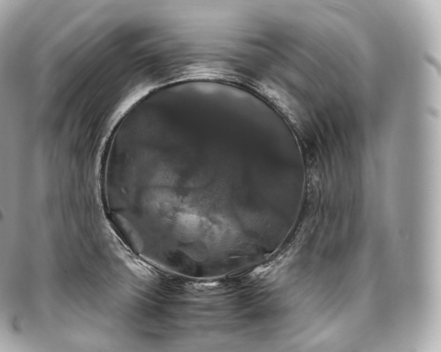 X0000097301427200802221324