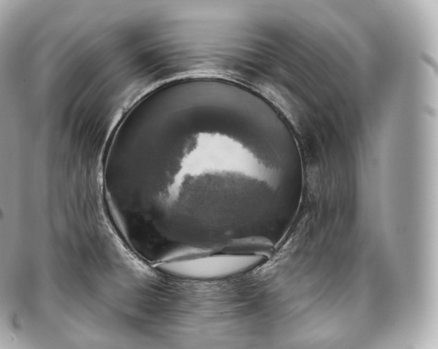 X0000097301428200802221324