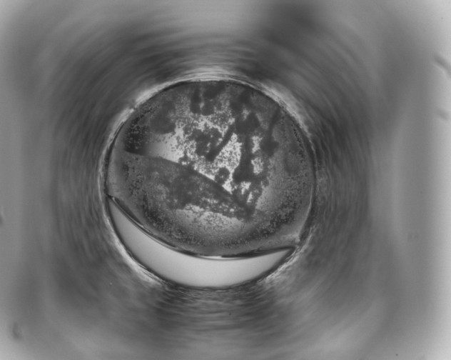 X0000097301429200802221324