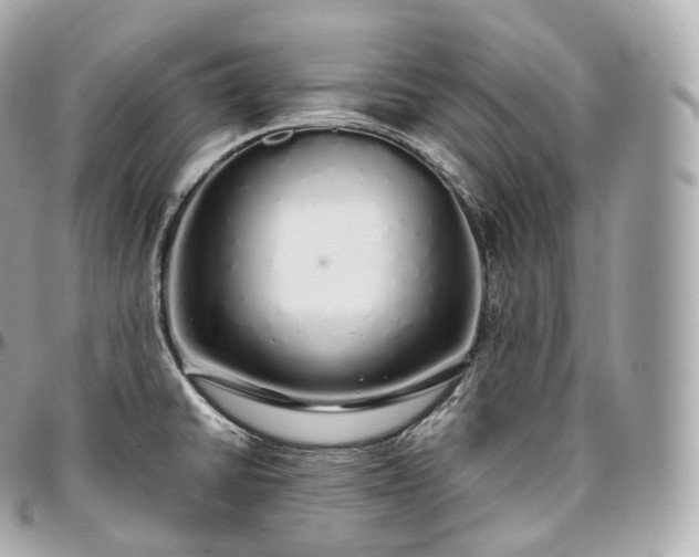 X0000097301430200802221324